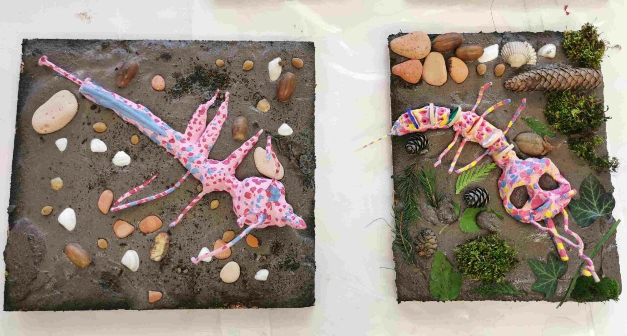 parcours-clus-arts-atelier-art-et-nature-cecile-helouis-74-blog-1280x687.jpg